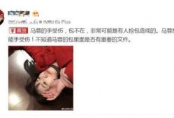 马蓉母亲爆料王宝强视频,一场家庭纷争的幕后黑幕